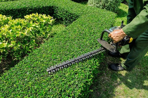 Exterior Care Landscaping