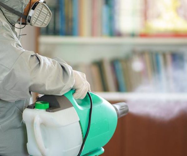 Pest Control & Disinfection Services Pest Control & Disinfection Services