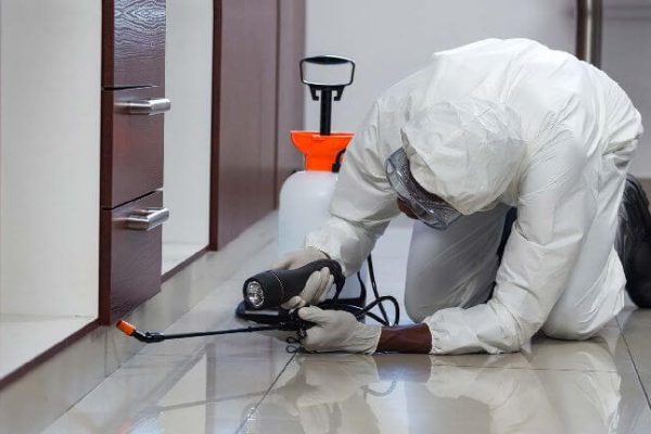 Termite Control Termite Control